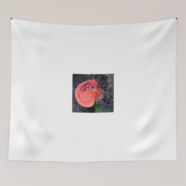 Item preview, 'Like it Rare ?'  Beefsteak Fungus. designed and sold by Billlee.