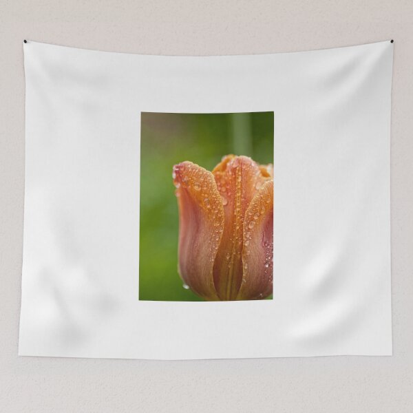 Item preview, Tulip2 (macro) - Ottawa, ON designed and sold by Tracey  Dryka.