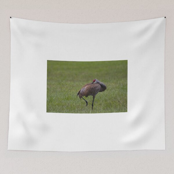 Item preview, napping  designed and sold by kathy s gillentine.