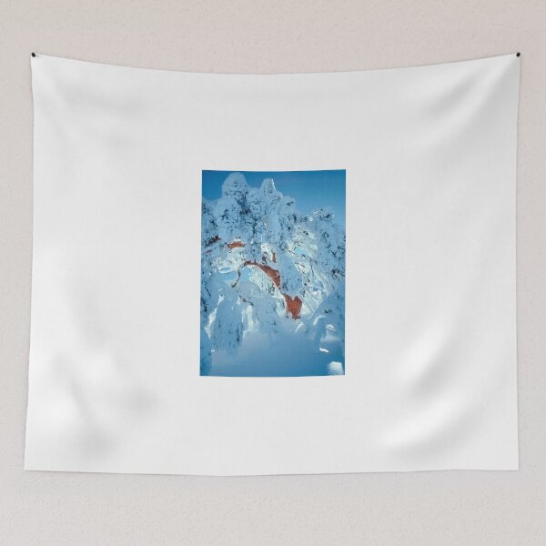 Item preview, Snow encrusted snowgum designed and sold by Kevin McGennan.