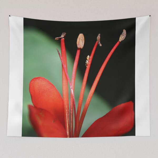 Item preview, Down Hill Climber designed and sold by Katagram.