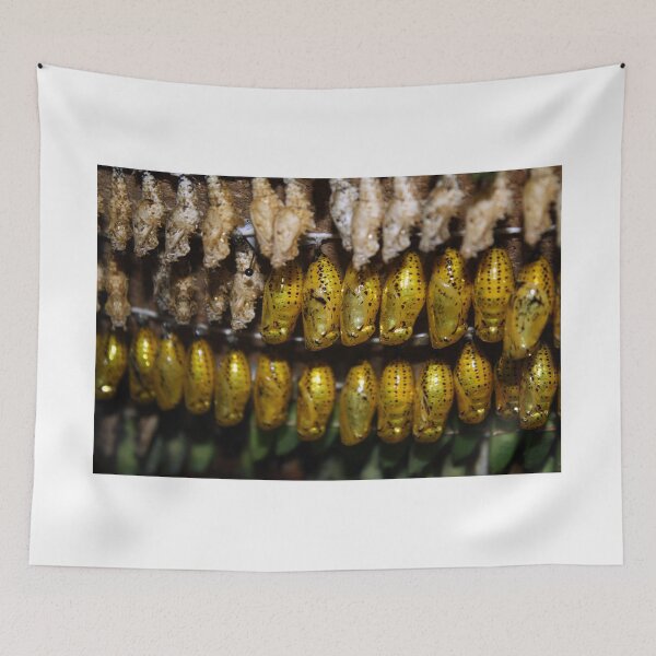 Item preview, Beginning to Emerge designed and sold by Katagram.