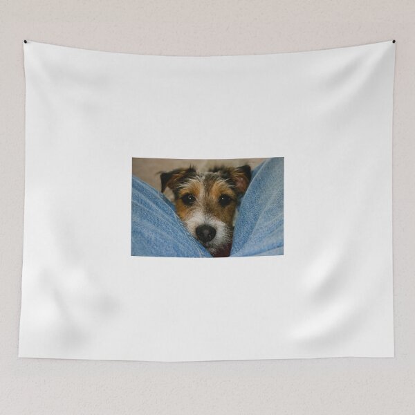 Item preview, I'm Right Here! designed and sold by Ken McElroy.