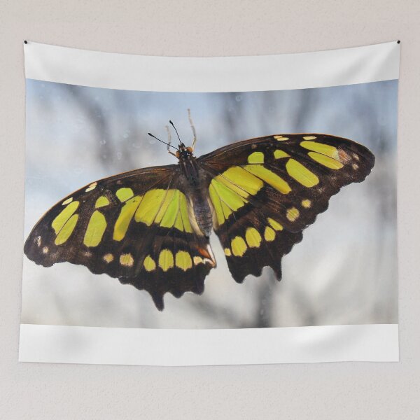 Item preview, Window Cling designed and sold by Katagram.