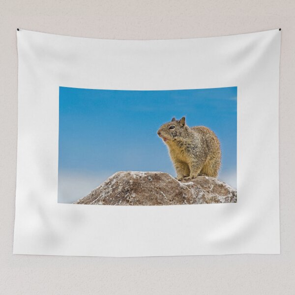 Item preview, California Ground Squirrel, (Spermophilus beecheyi) designed and sold by Eyal Nahmias.