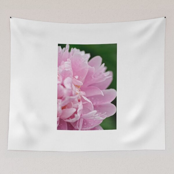 Item preview, Peony - Experitmantal farms, Ottawa, ON designed and sold by Tracey  Dryka.