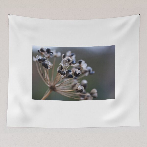 Item preview, Seed pods designed and sold by Richard Keech.