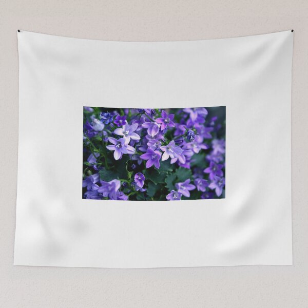 Item preview, Summer's Blue Stars designed and sold by SmoothBreeze7 | Liz Collet Photography.