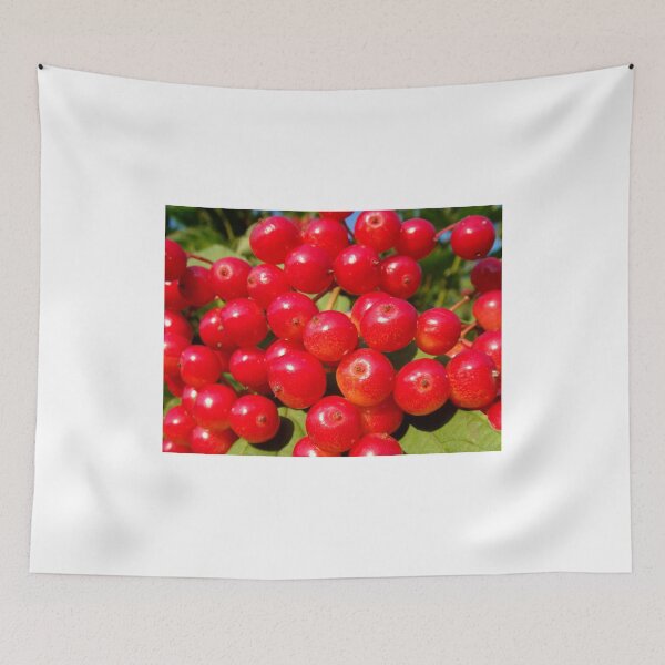 Item preview, Red Bubbles.. designed and sold by Eugenio.