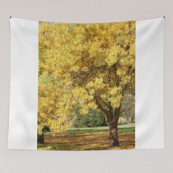 Item preview, Golden Ash Tree in Autumn designed and sold by Jenny Brice.