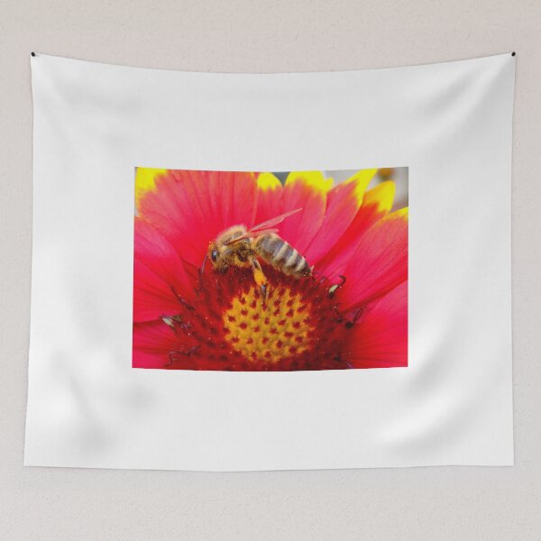 Item preview, Lunchtime designed and sold by Eugenio.