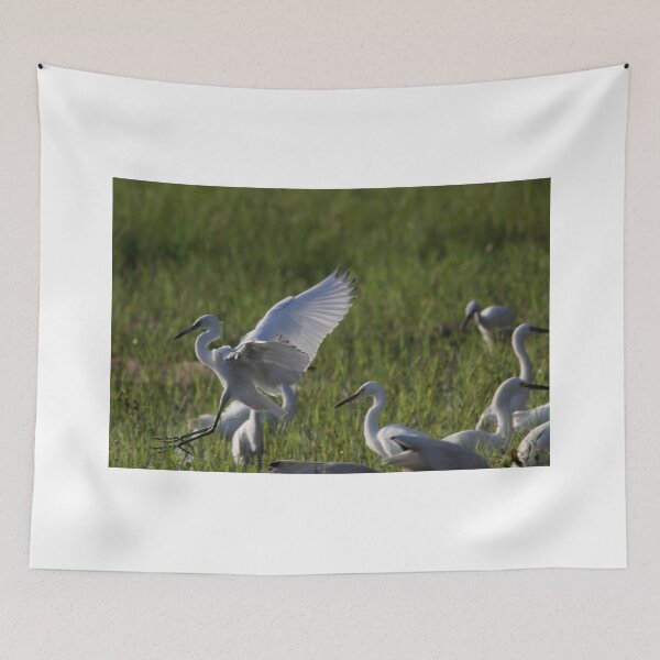 Item preview, the landing designed and sold by kathy s gillentine.