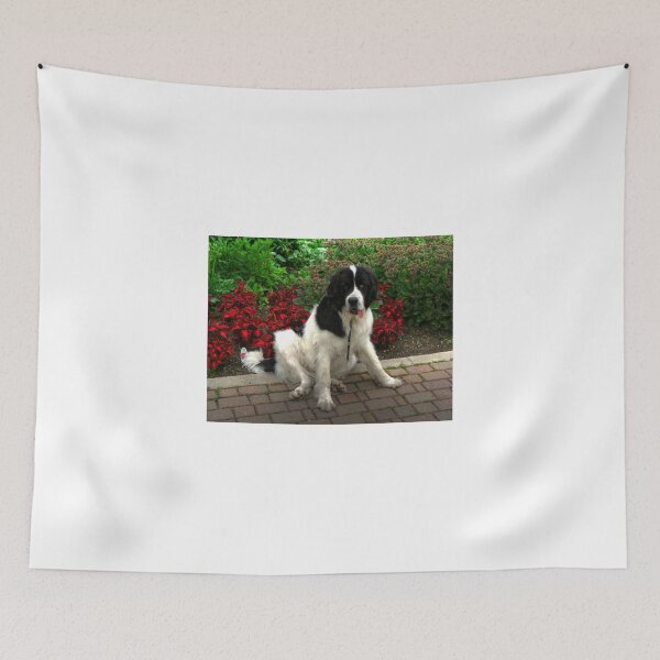 Item preview, Newfoundland (Landseer) designed and sold by Larry Trupp.