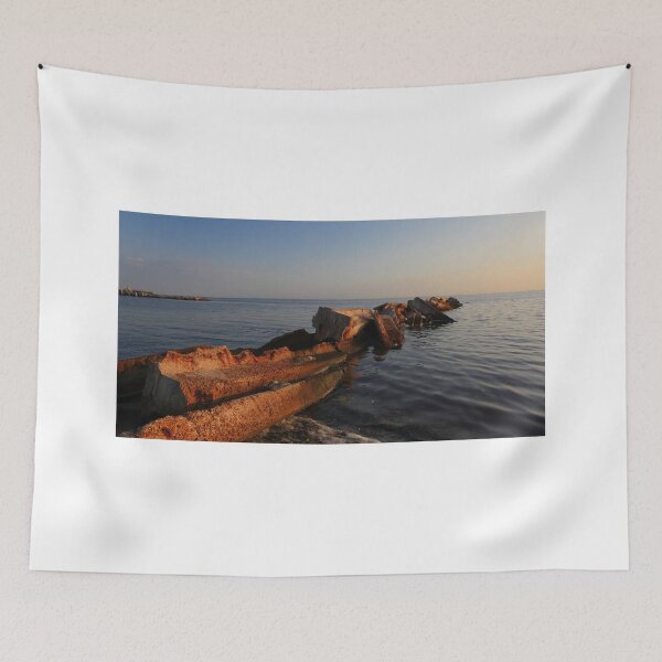 Item preview, a disaster left behind designed and sold by kathy s gillentine.