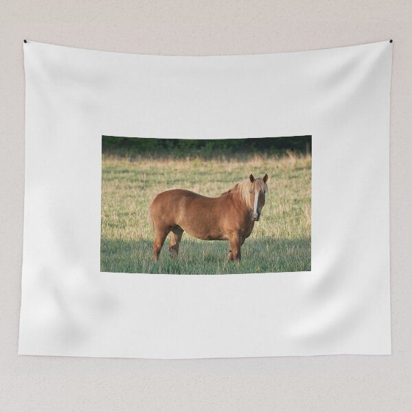 Item preview, Belgian designed and sold by Tracey  Dryka.