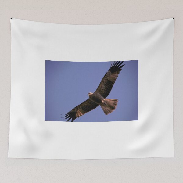 Item preview, Wedge Tail Eagle Darwin Australia designed and sold by Sean  Carroll.