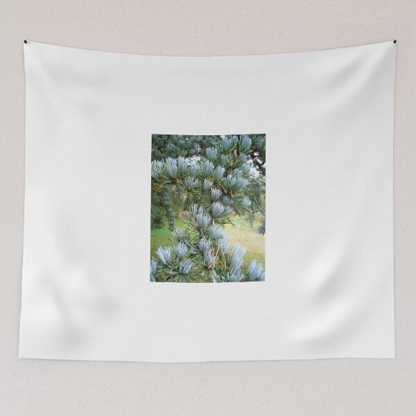 Item preview, Needles designed and sold by coffeebean.
