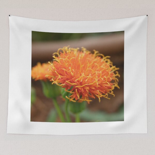Item preview, Scruffy designed and sold by mikequigley.