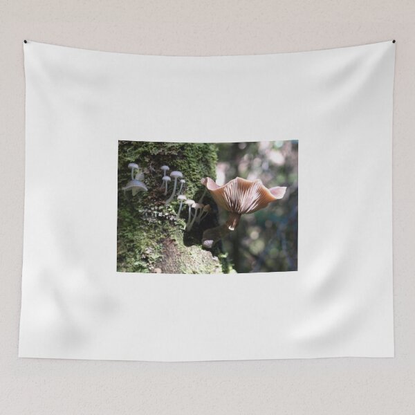 Item preview, Rain Forest  Fungi Tasmania Gordon River Bush Walk  designed and sold by Tom McDonnell.