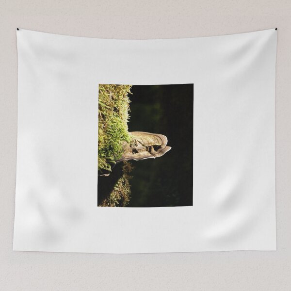 Item preview, Rain Forest  Fungi Tasmania Gordon River Bush Walk April 2009 designed and sold by Tom McDonnell.