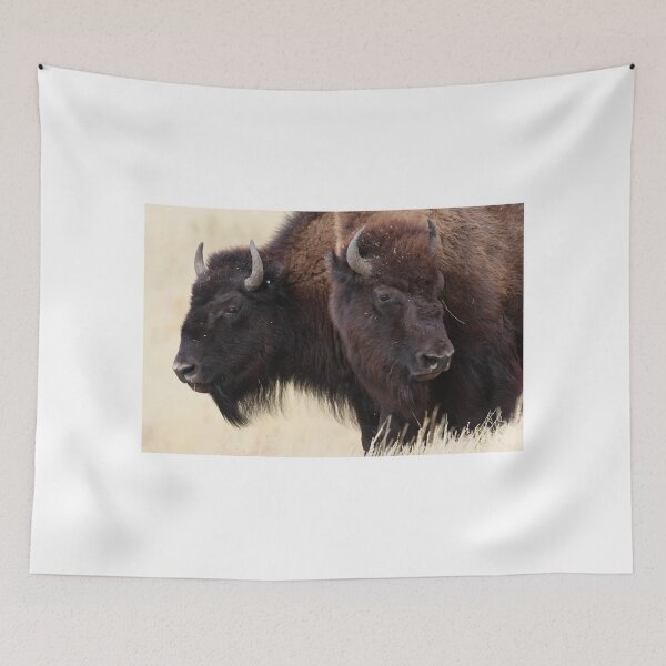 Item preview, Bison Friendship designed and sold by WorldDesign.