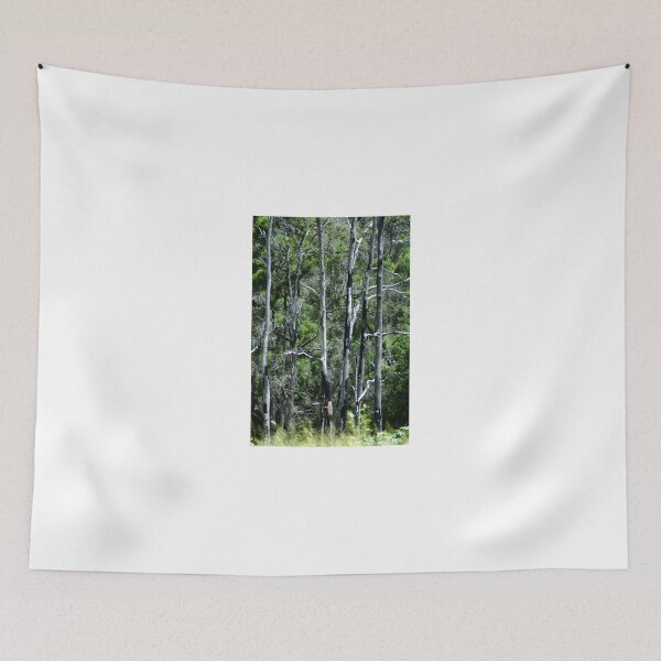 Item preview, GATTON TALL TREES © Vicki Ferrari designed and sold by Vicki Ferrari Photography.