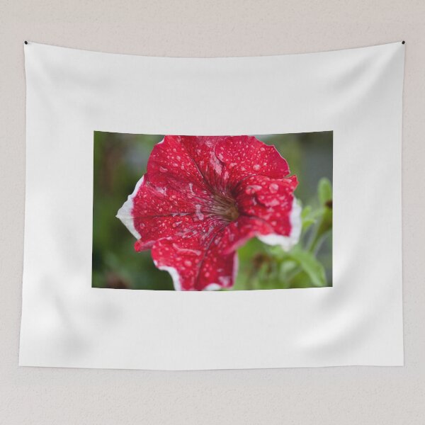 Item preview, Red Petunia designed and sold by Richard Keech.