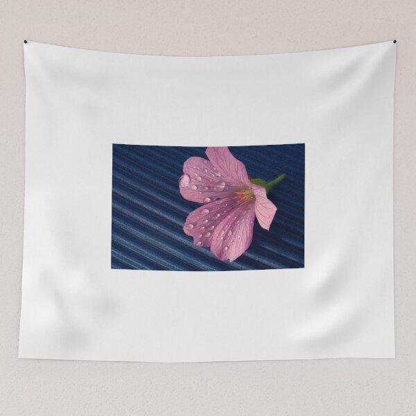 Item preview, La Vita è Per la Luce designed and sold by SmoothBreeze7 | Liz Collet Photography.