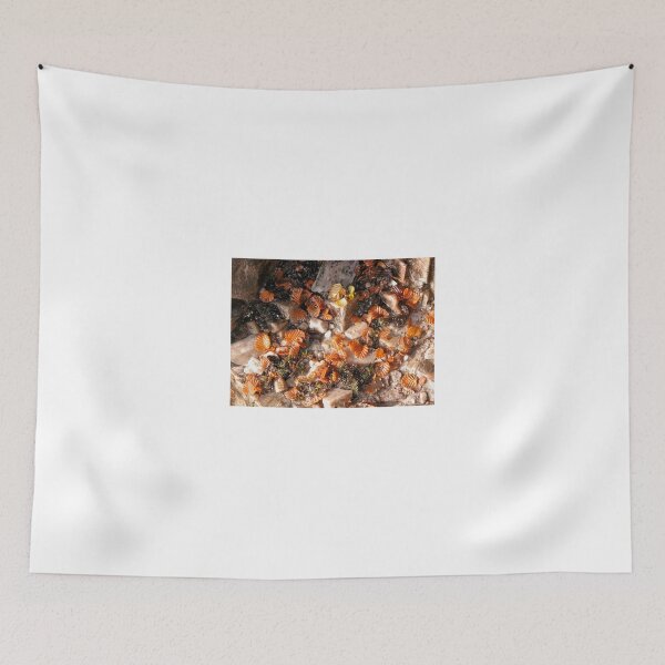 Item preview, Fagus leaves in a Quartz puddle, Cradle Mountain, Tasmania, Australia. designed and sold by kaysharp.