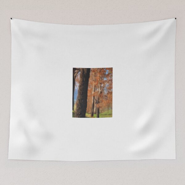 Item preview, Autumn © Vicki Ferrari designed and sold by Vicki Ferrari Photography.
