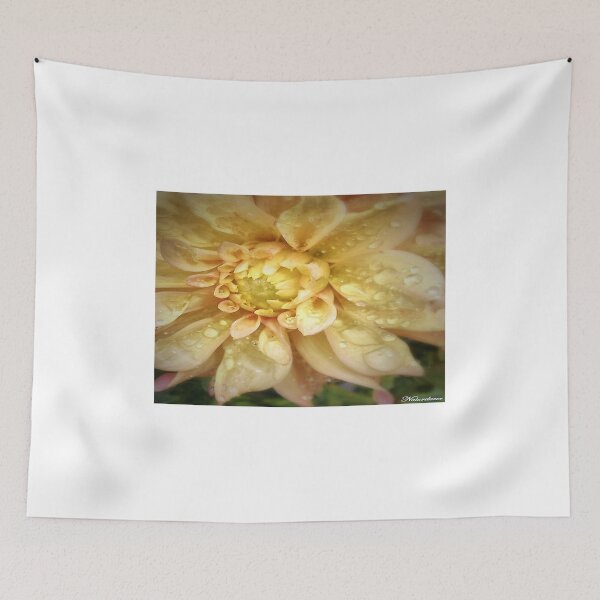 Item preview, After the Sun...The Rain.. designed and sold by naturelover.
