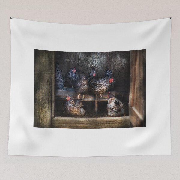 Item preview, Animal - Chicken - The Hen House designed and sold by Mike Savad Photography.