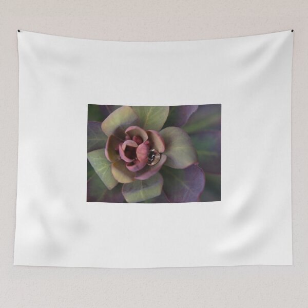 Item preview, Euphorbia Blackbird designed and sold by Tom McDonnell.