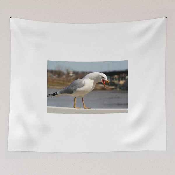 Item preview, Talk..Talk..Talk!! designed and sold by Larry Trupp.