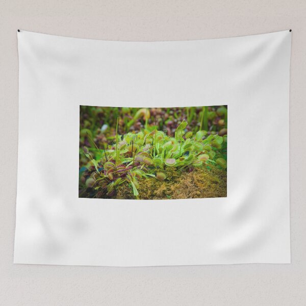 Item preview, Venus flytrap designed and sold by Jaime Pharr.