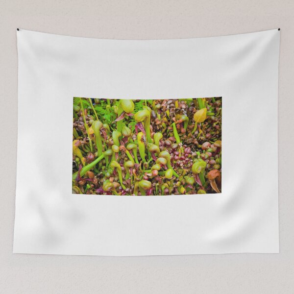 Item preview, Cobra liliy pitcher plants designed and sold by Jaime Pharr.