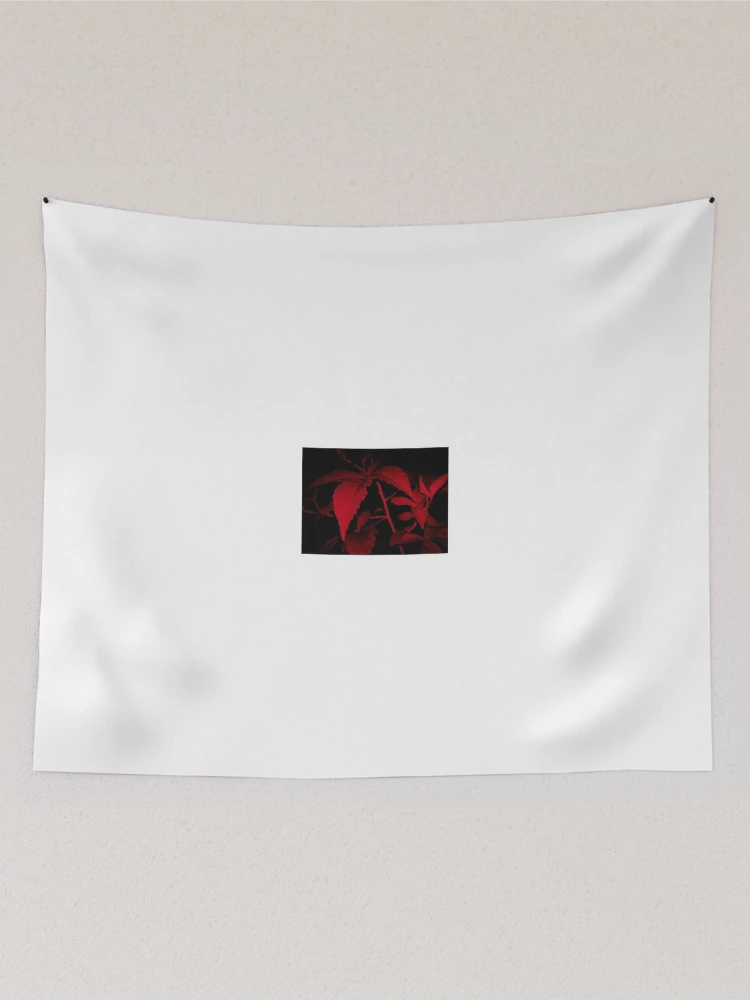 Thumbnail 2 of 3, Tapestry, Confidence In The Shadows designed and sold by Andy Rhodes Art.