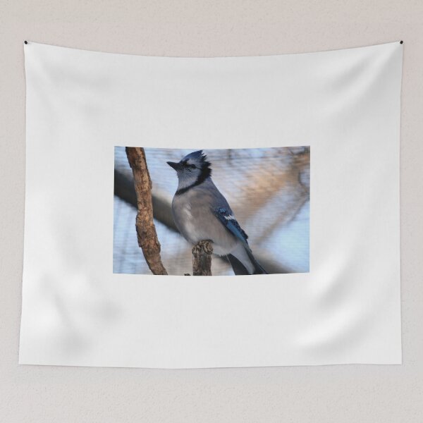 Item preview, Blue Jay(Cyganocitta Cristata) designed and sold by Larry Trupp.