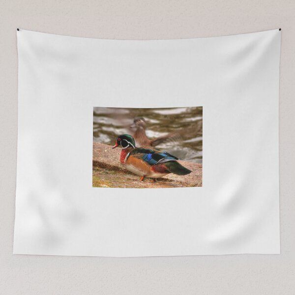 Item preview, Male Wood Duck designed and sold by Larry Trupp.