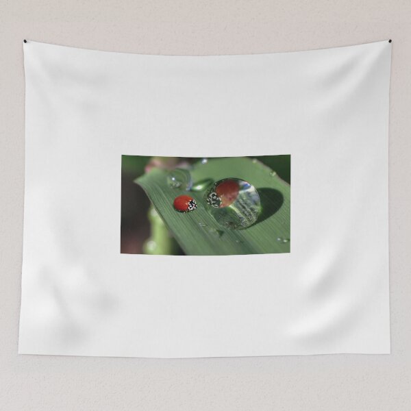 Item preview, I'm so pretty... designed and sold by davidgnsx1.