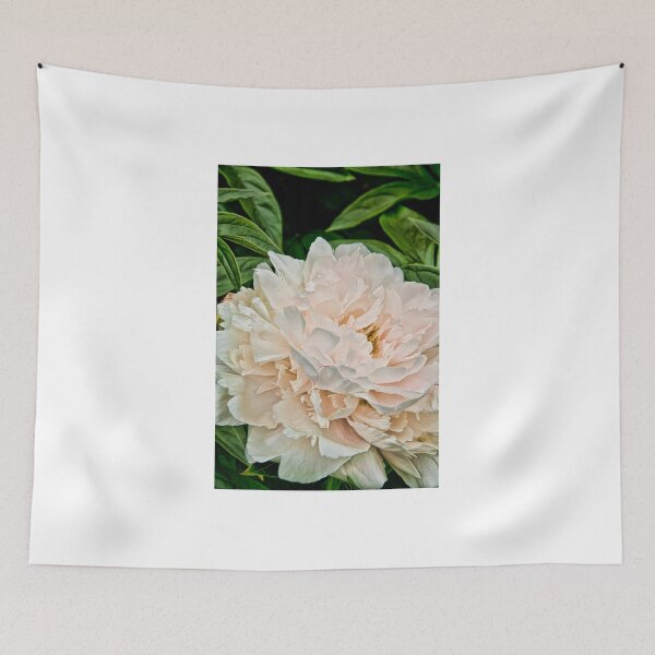 Item preview, Peony - Experimental Garden, Ottawa, Ontario designed and sold by Tracey  Dryka.
