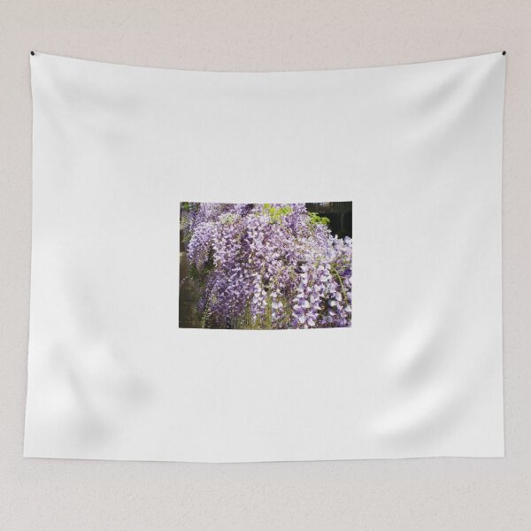 Item preview, Wisteria - makes a pretty fence, Spring 2009 designed and sold by EdsMum.