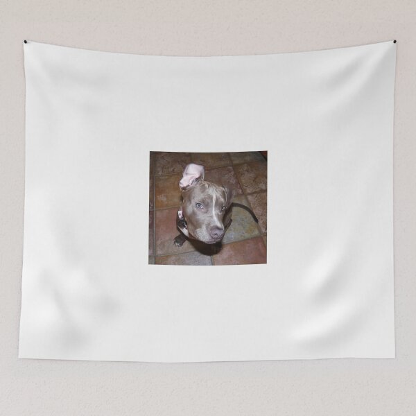 Item preview, I'm All Ears - Blue Pit Bull designed and sold by Christy Carlson.