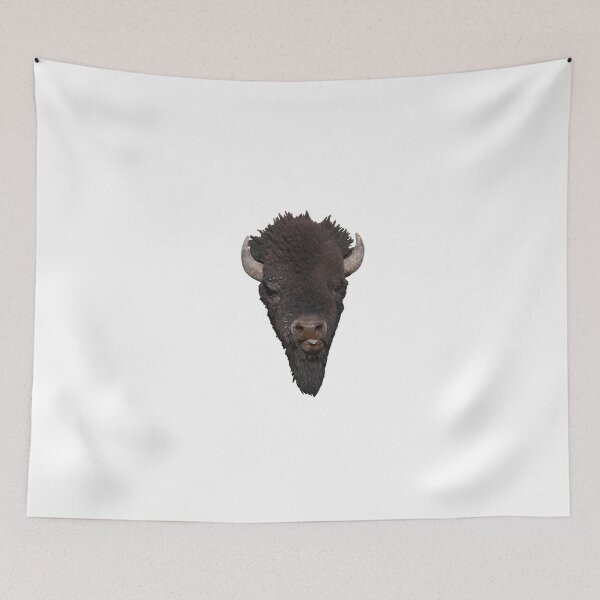 Tapestry