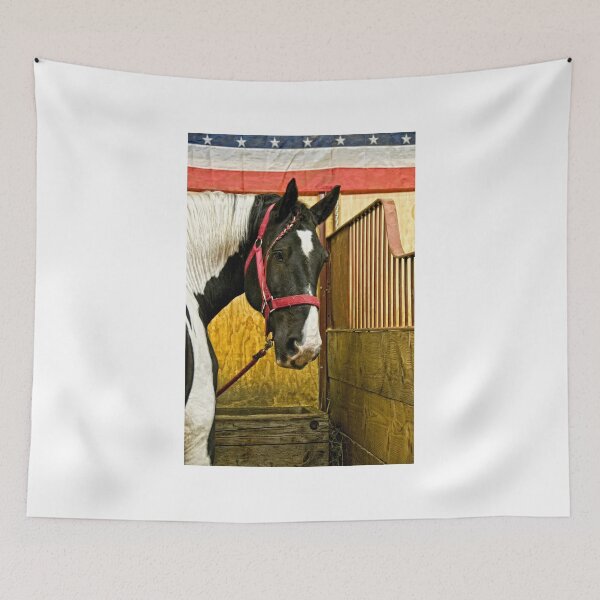 Item preview, Stars, Stripes and Spots designed and sold by TeresaB.