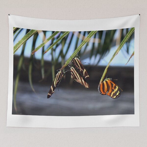 Item preview, Hanging Out designed and sold by Katagram.