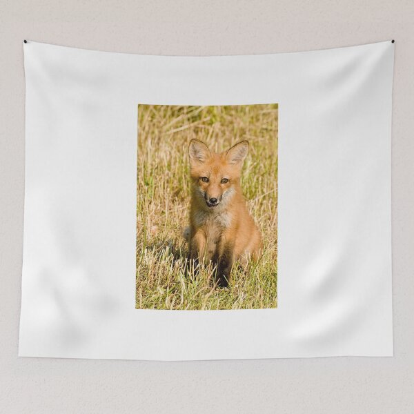 Item preview, Watcha lookin at!!  Red fox kit - Ottawa, Ontario designed and sold by Tracey  Dryka.