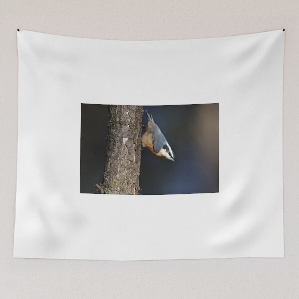 Item preview, Red-breasted Nuthatch designed and sold by James Cumming.