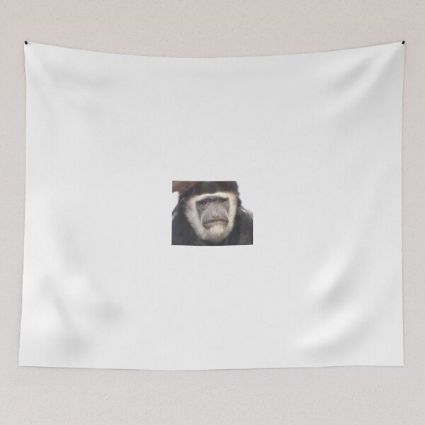 Item preview, Mono colobo blanco y negro, primate designed and sold by loiteke.