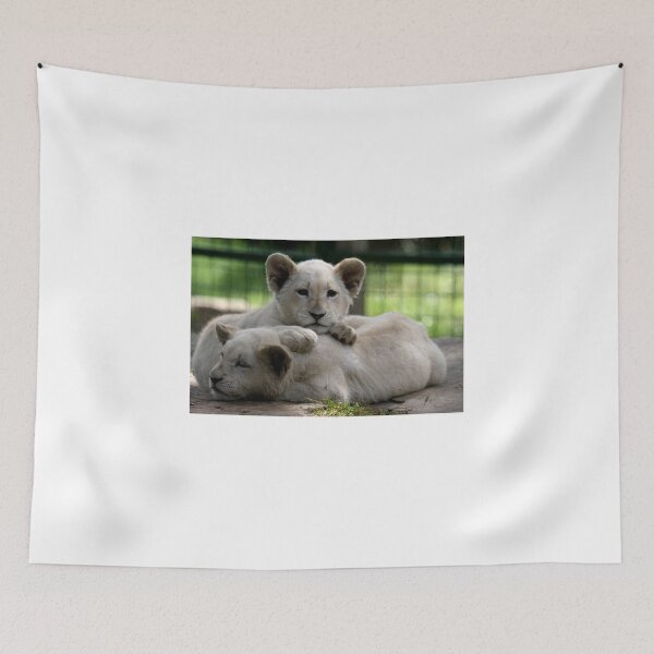 Artikelvorschau, White Lion Cubs entworfen und verkauft von Sheila Smith.